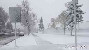 Alberta's first snowfall of season in weekend forecast