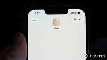If your friends use Meta Muse, there's a file with your personal information being built