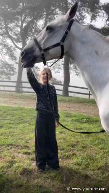 A glimpse into our camera roll from the Everyday Rituals campaign shoot 🐴