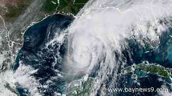 Isaias now a category 2 hurricane, landfall on the Gulf coast almost 24 hours away
