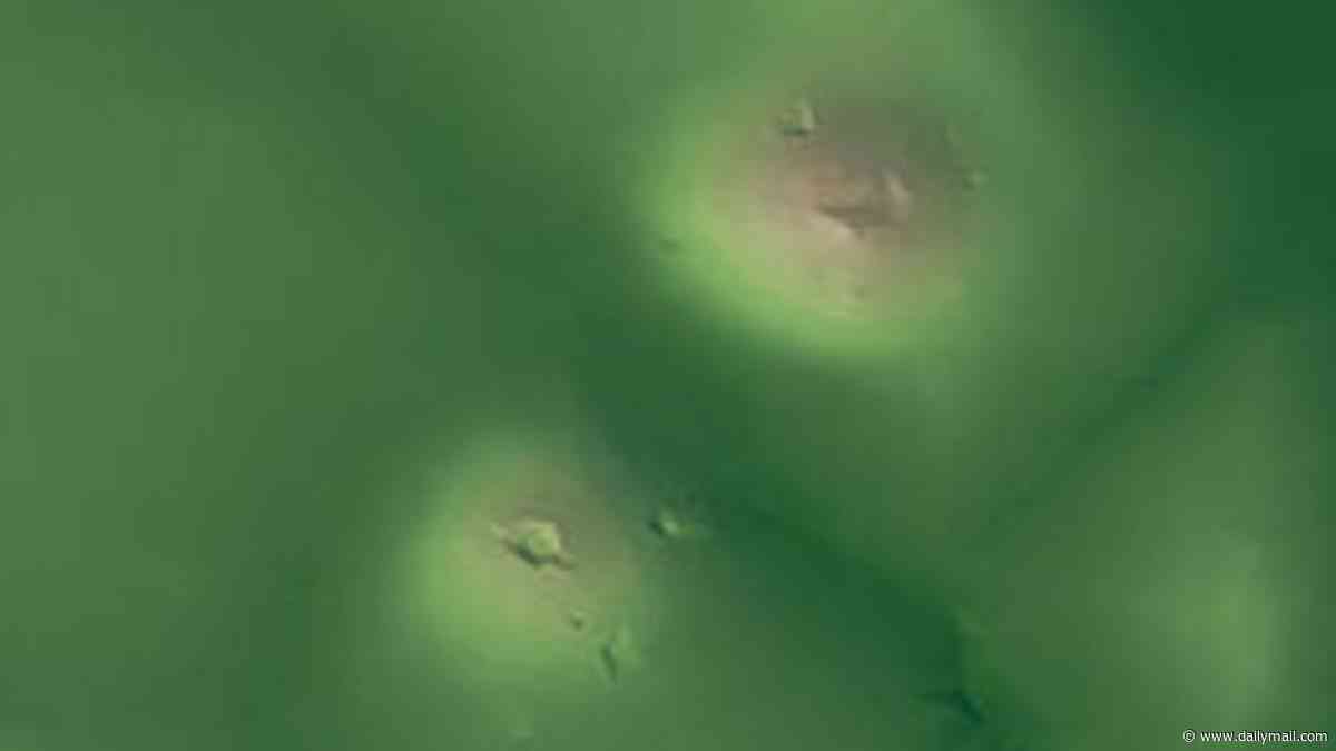 Mystery man-made mounds in the Deep South are older than the Great Pyramid... and leave experts baffled over their creation