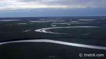 Trump exempts oil exploration in Arctic petroleum reserve from environmental reviews