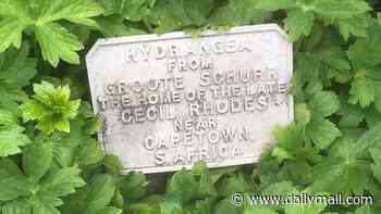 RICHARD EDEN: Strange case of a missing memorial to Cecil Rhodes