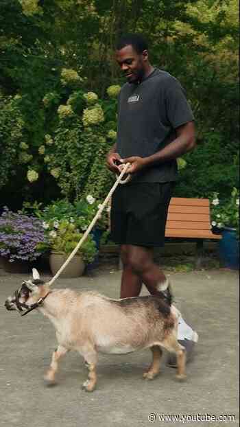 zoo adventures with Day'Ron Sharpe and Nolan Traore! #brooklynnets #zoo #animals