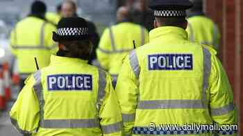 Watchdog will probe police response to violent crime