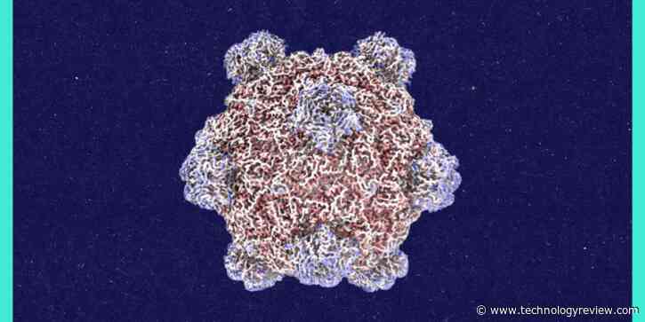 Roundtables: A Conversation With the Creator of AI-Designed Viruses