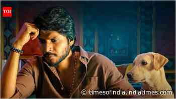 'Sigma' BO day 7: Jason Sanjay's film earns Rs 8.27 cr India net