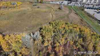 Amazon says it's reviewing oversight after contractor damages Winnipeg preserve