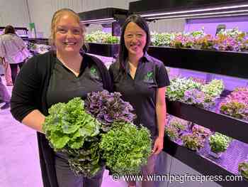 Green growth focus of hydroponic gathering