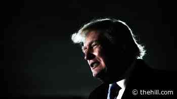 Trump says Minnesotans should 'fight back' against Somali immigrants