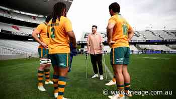 Ellis Park and a visit from ‘Cheezy’: Why the Wallabies’ Bledisloe belief is brewing