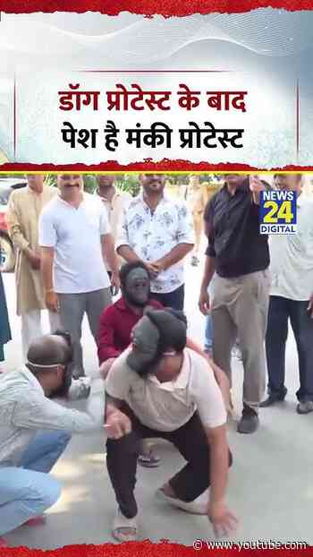 Meerut Monkey Protest Viral Video | डॉग प्रोटेस्ट के बाद पेश है मंकी प्रोटेस्ट | #shorts #viral