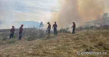 Indigenous cultural burn near Osoyoos revives traditional fire stewardship