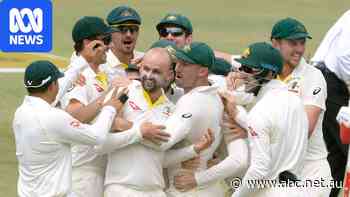 The mixed fortunes of Australia's last South African touring party