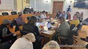 What's next for Flock cameras in Milford? A new committee will review them