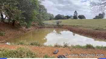 Woman and 10-year-old girl found dead inside submerged car in Queensland dam