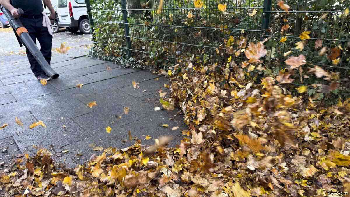 Hohes Bußgeld droht: Warum Sie Laubbläser nur zu bestimmten Uhrzeiten nutzen dürfen