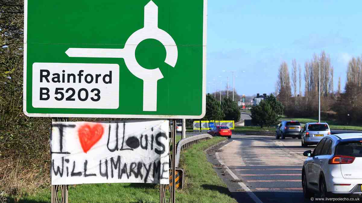 Judge clarifies who is to blame for roundabout crashes