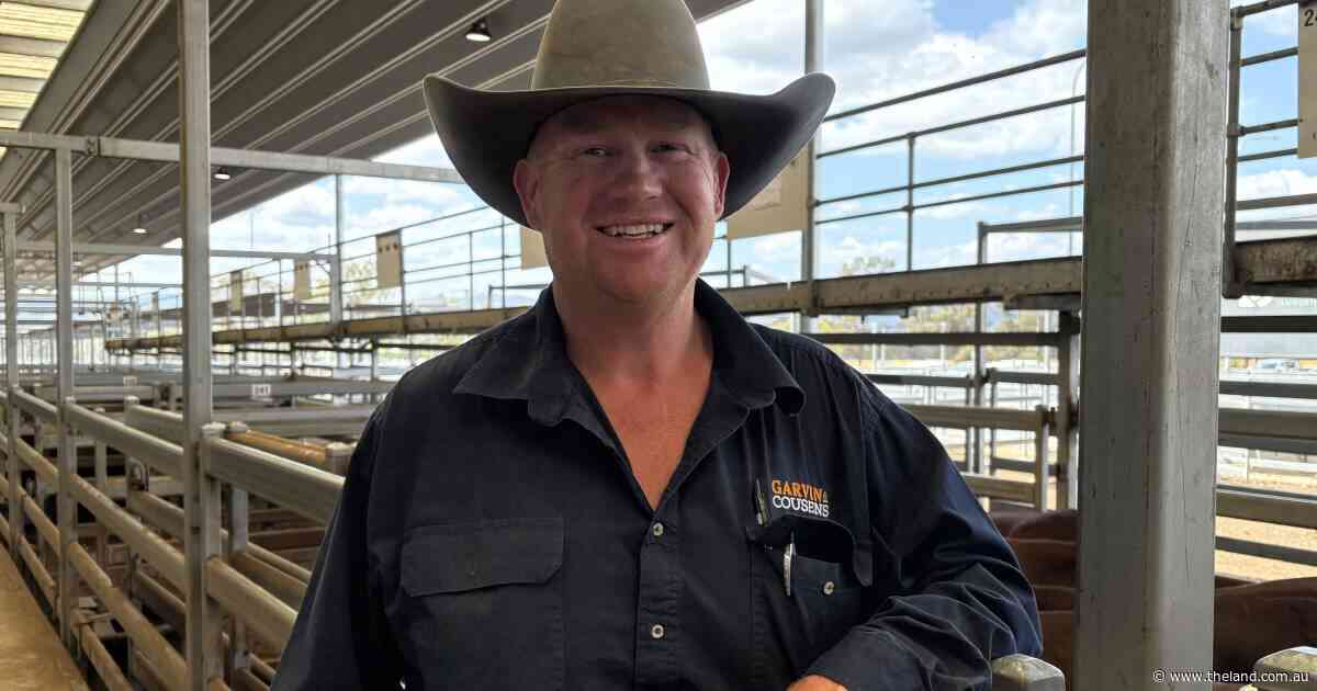 Rainy weekend forecast sparks 100-cent price rise at Tamworth store sale