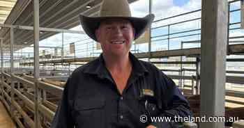 Rainy weekend forecast sparks 100-cent price rise at Tamworth store sale