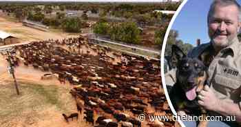 Australia eyes premium market as Brazil rises to number one beef exporter