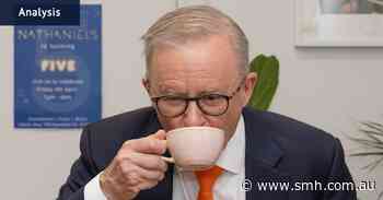 Albanese talked up cheaper coffee, but Chalmers has to swallow his pride