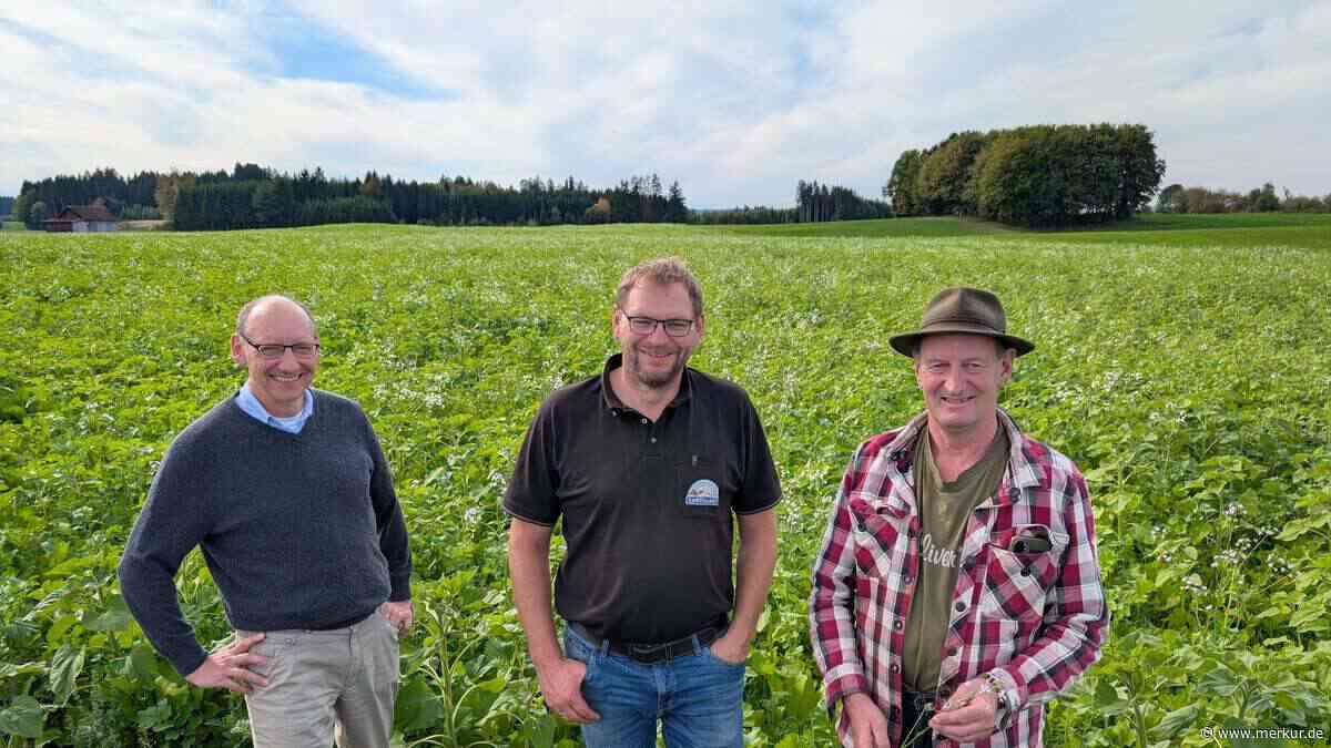 Trockenheit trifft Bauern im Landkreis Weilheim-Schongau