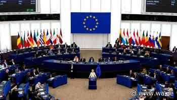 Schwerer Schlag im EU‑Parlament? Linke will Abgeordnetengehälter drastisch zusammenstreichen