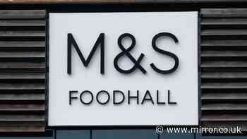 M&S and Tesco shoppers told to isolate for two days in salmonella alert