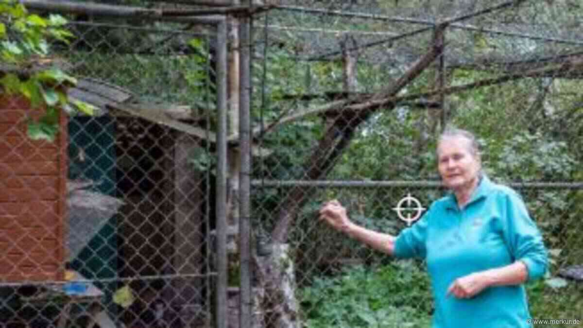 Puma bei Erding: Schon vor Jahren lief so ein Tier dort frei herum – „Es ist wie ein Déjà-vu“