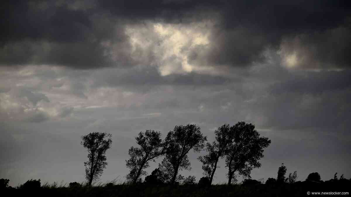 Weerbericht: onweer, windstoten en pittige buien zorgen voor onstuimige vrijdag