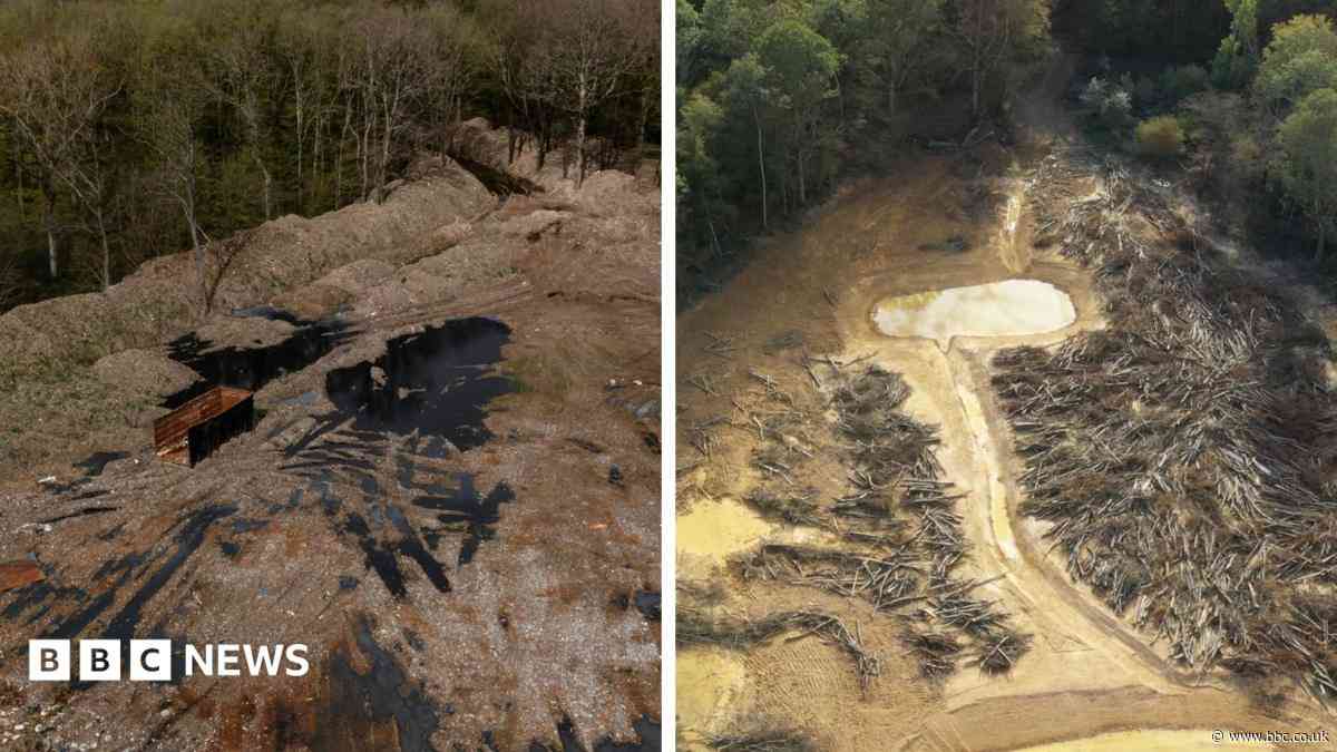 £15m spent cleaning illegal waste supersite in ancient woodland