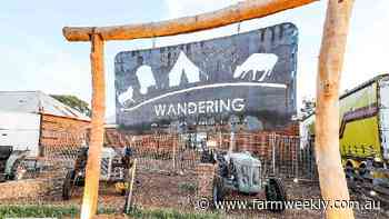 Music, stargazing and fireworks: Wandering gears for annual Camp Out Weekend