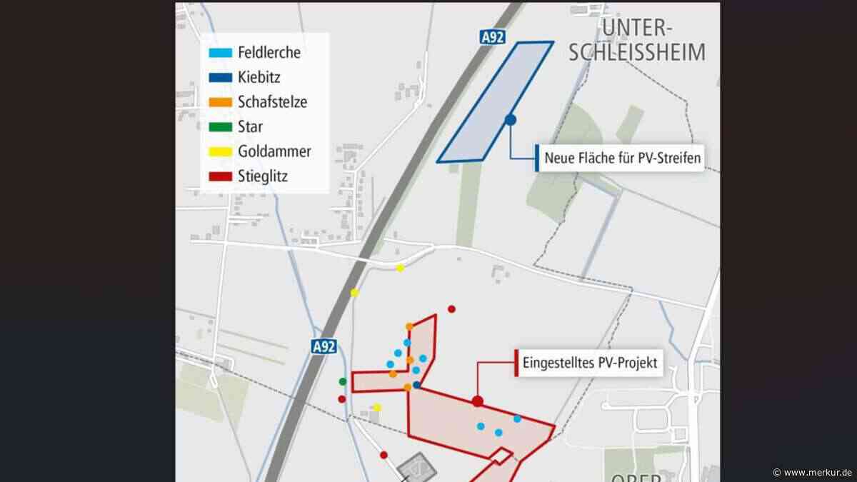 Neun Brutpaare stoppen Solarpark – jetzt kommt er an die A92