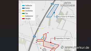 Neun Brutpaare stoppen Solarpark – jetzt kommt er an die A92