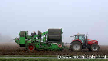 België schroeft bieten en aardappelen fors terug
