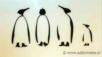 Binnenkijken bij Everybody likes Penguins