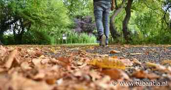 Herfstvakantie in Enschede: dit is de weersverwachting