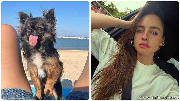 “Non ero pronta a vivere senza di te. Mi sta sanguinando il cuore. Con te muore una parte della mia anima”: Matilde Gioli in lutto per la morte del suo cane Kalel