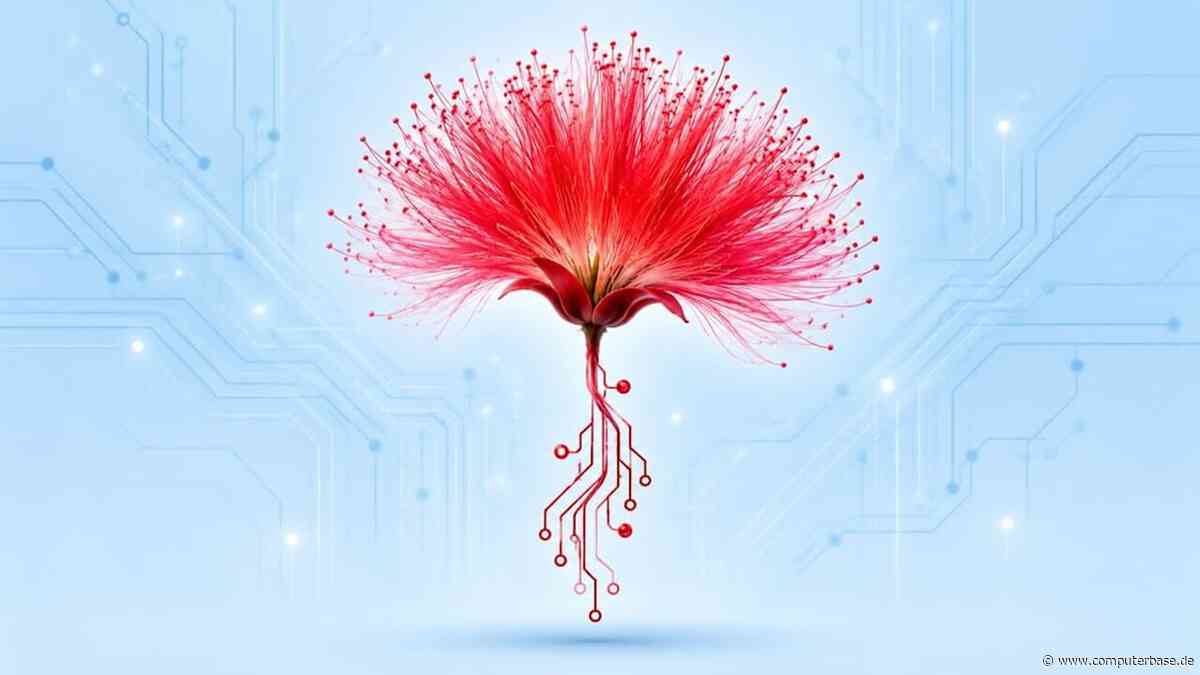 Midnight Mimosa: Android-Malware steckt direkt in der Firmware von Smartphones