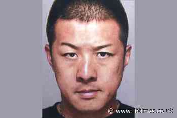 South Korean Court Jails Japanese Yakuza Member for 10 Years Over 636kg Marijuana Plot to Supply Gangs in Japan