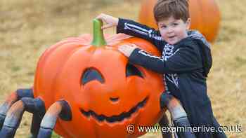 AD FEATURE: Spooky season returns to Yorkshire Wildlife Park with Halloween family fun