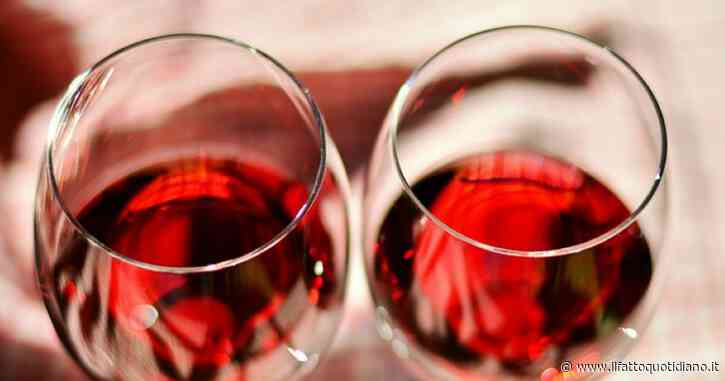 Colpo da 5 milioni alla cantina Antinori: rubate 30mila bottiglie. “Sono arrivati con due camion. Il più grande furto di vino mai visto”