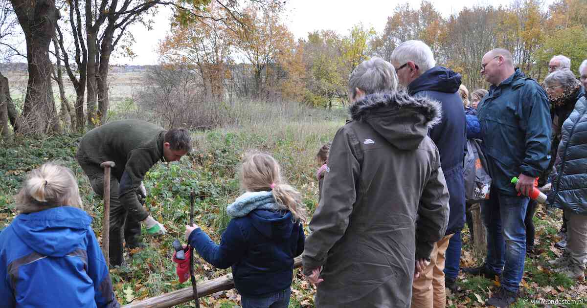 Brabants Landschap houdt natuurmiddag voor kinderen over herfst op de Kraaijenberg