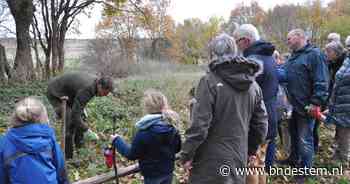 Brabants Landschap houdt natuurmiddag voor kinderen over herfst op de Kraaijenberg