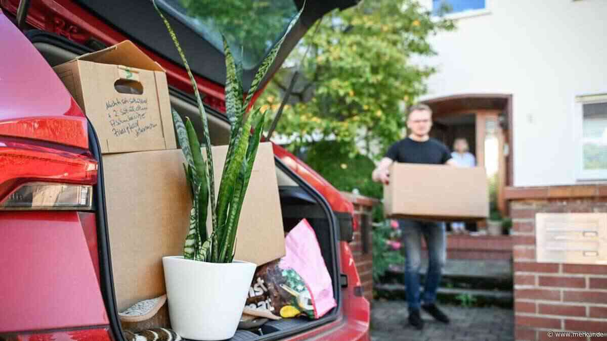 „Ich bin wie eine große Schwester“: Wie eine Frau mit ihrem Umzugsservice eine Marktlücke schließt