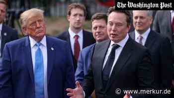 Trump kauft SpaceX-Anleihen für bis zu fünf Millionen Dollar – kurz vor neuer Raumfahrtpolitik