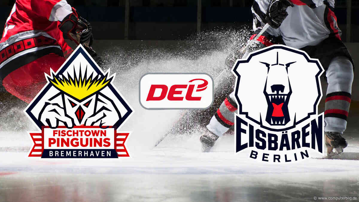 Fischtown Pinguins gegen Eisbären Berlin: DEL live und gratis sehen im TV und Stream