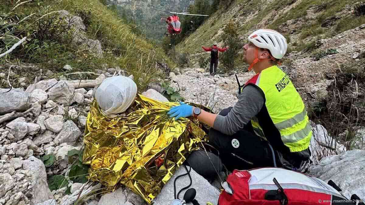 Wanderer liegt schwer verletzt in den Alpen – Treuer Labrador rettet Herrchen das Leben