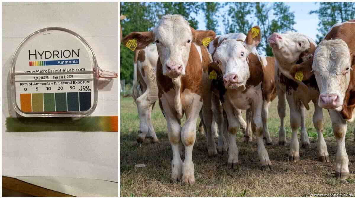 Streit um Stall-Luft in Stephanskirchen: Anwohner wollen Schmerzensgeld – macht Gestank krank?